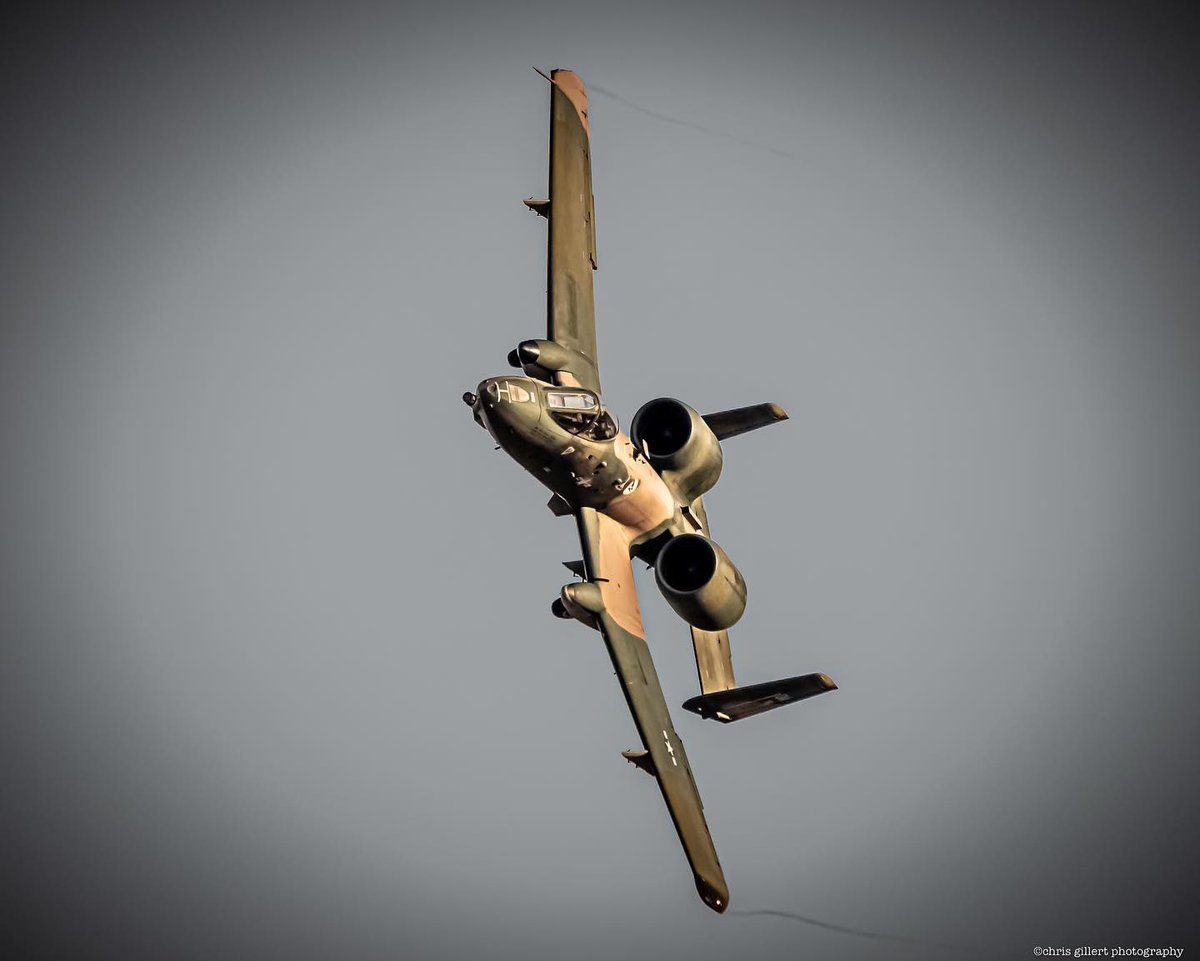 The best day of the week 🐗

#WarthogWednesday