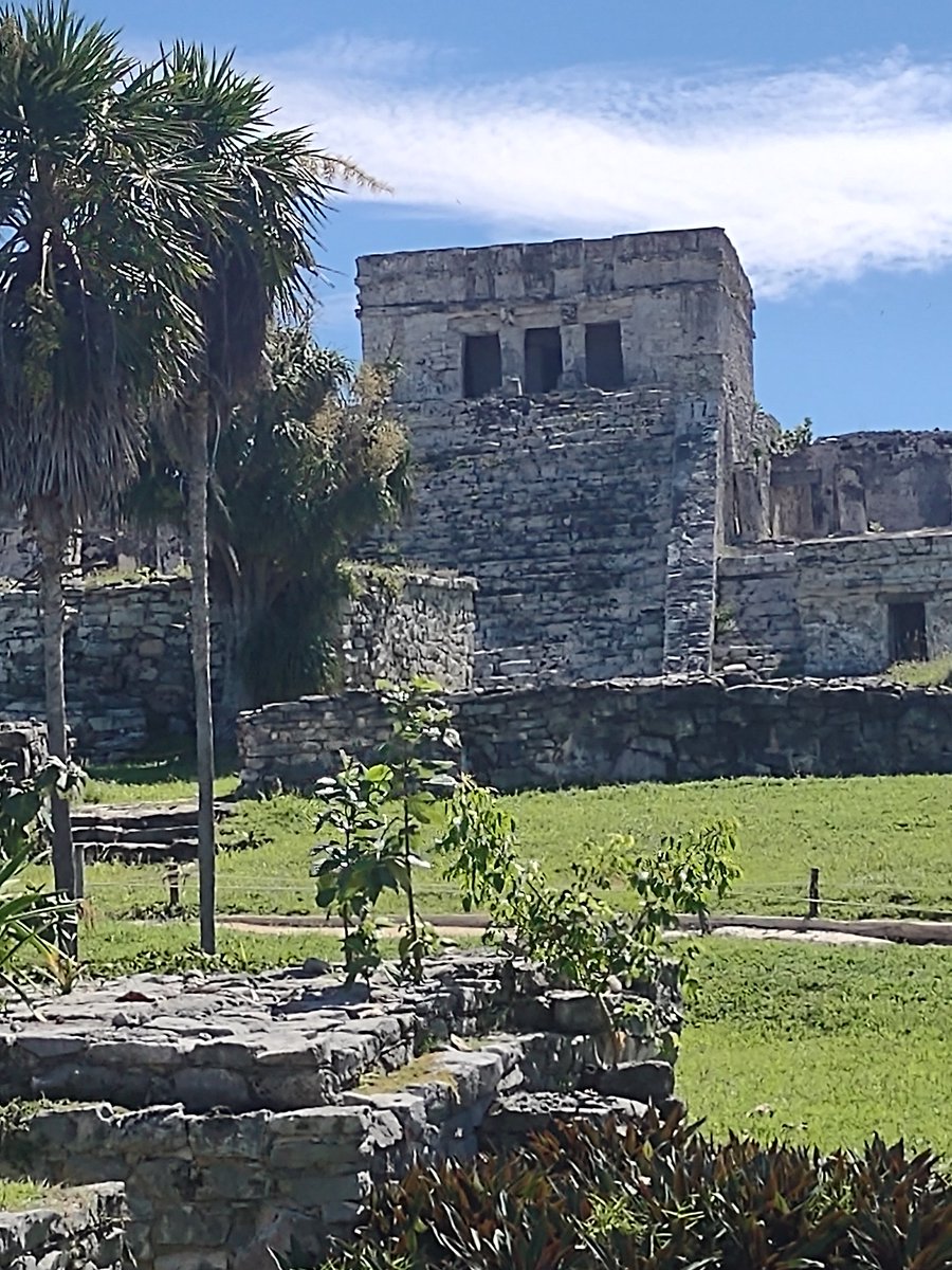 Russell ®️ tweet media