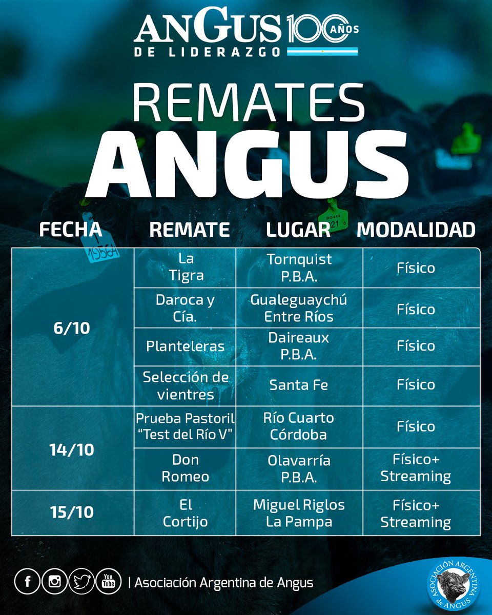 Angus Argentina tweet media