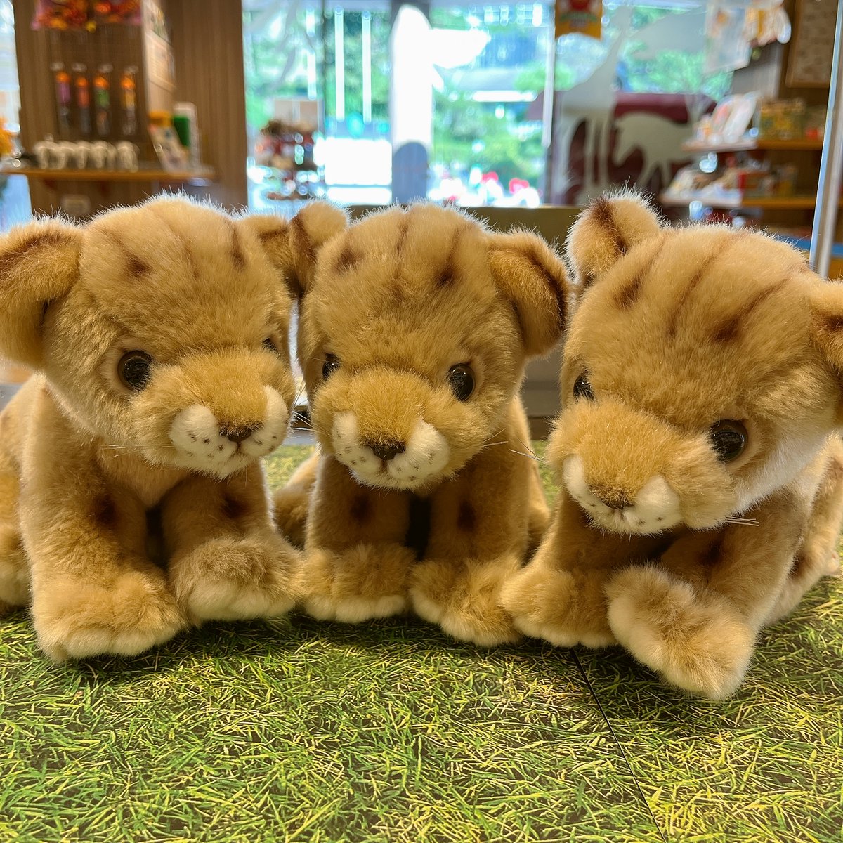 作家　ぬいぐるみ　テディベア　アートドール　ライオンの赤ちゃん 多摩動物公園［公式］ on X: 