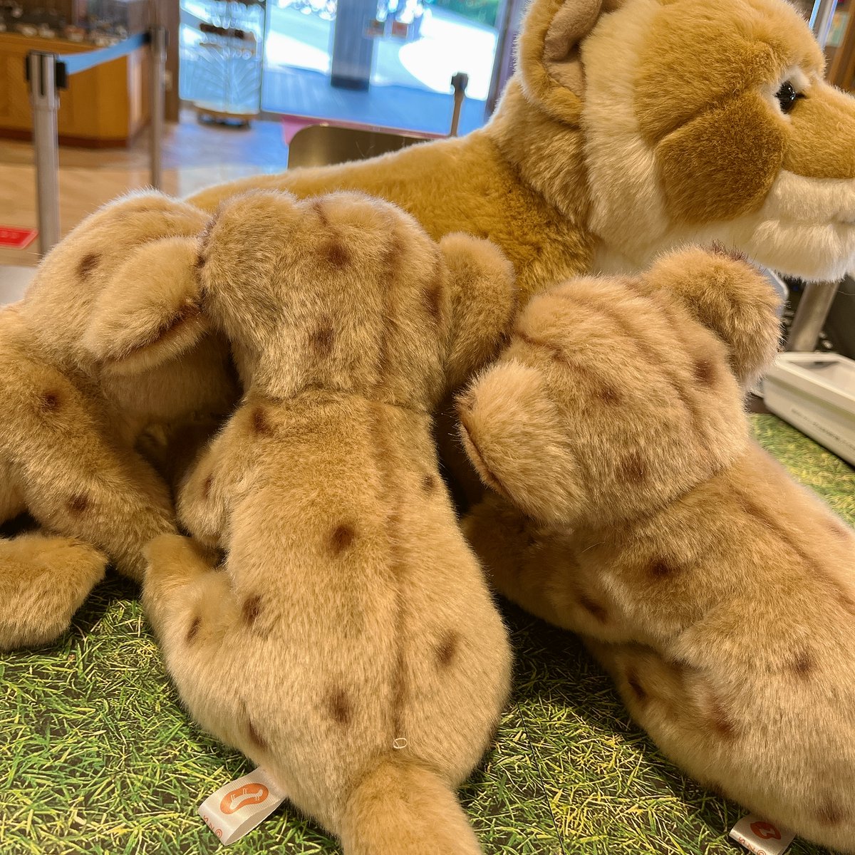 ぬいぐるみ ライオンの赤ちゃん（￥2420) 園内ギフトショップ