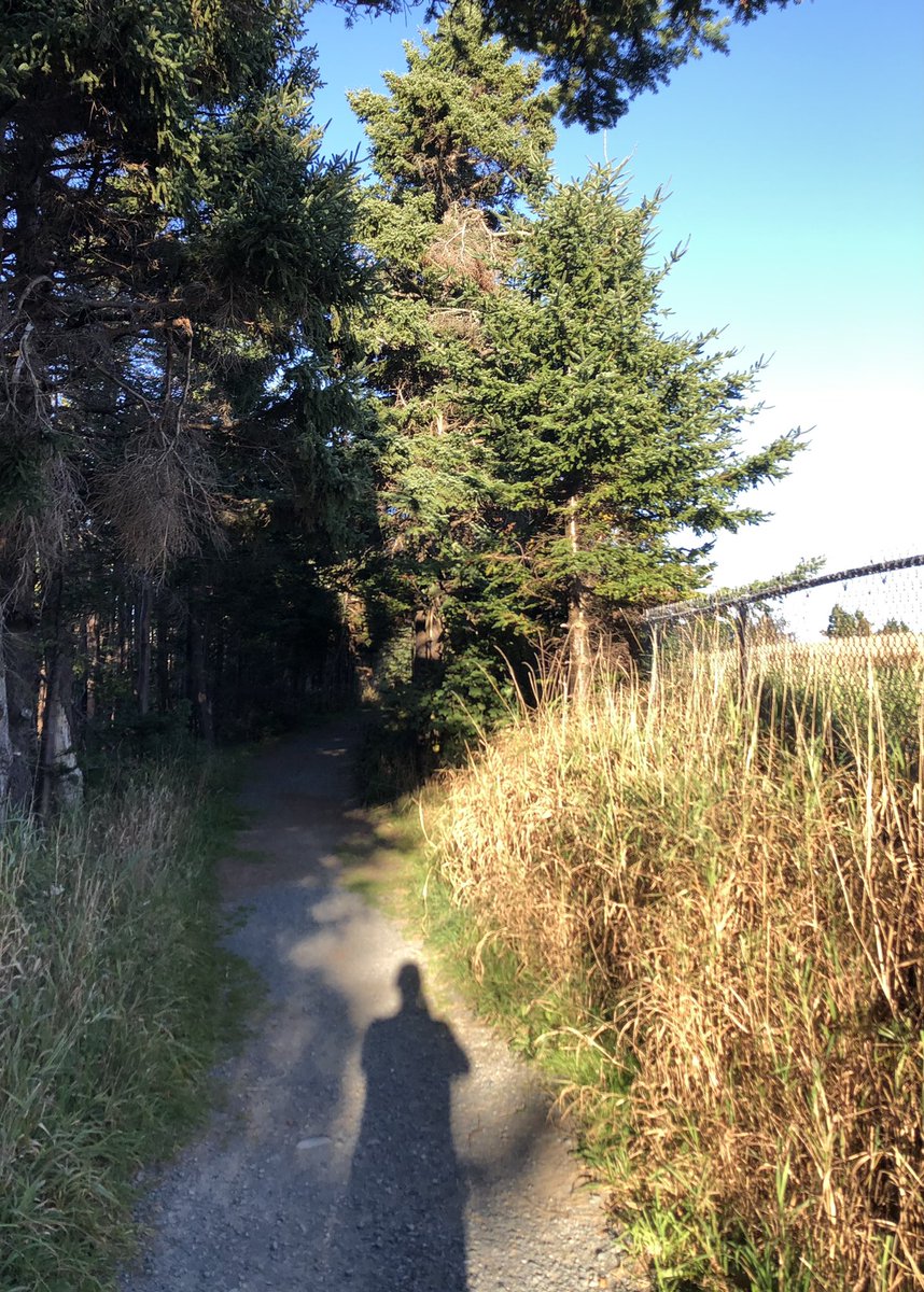 ronwearles's tweet photo. Last run before the @Tely10RoadRace on Saturday. Looking forward to my 18th running of this iconic race! See you at the Octagon! @ParadiseRunning #grateful #tenmiler https://t.co/DDcYoLhkrW