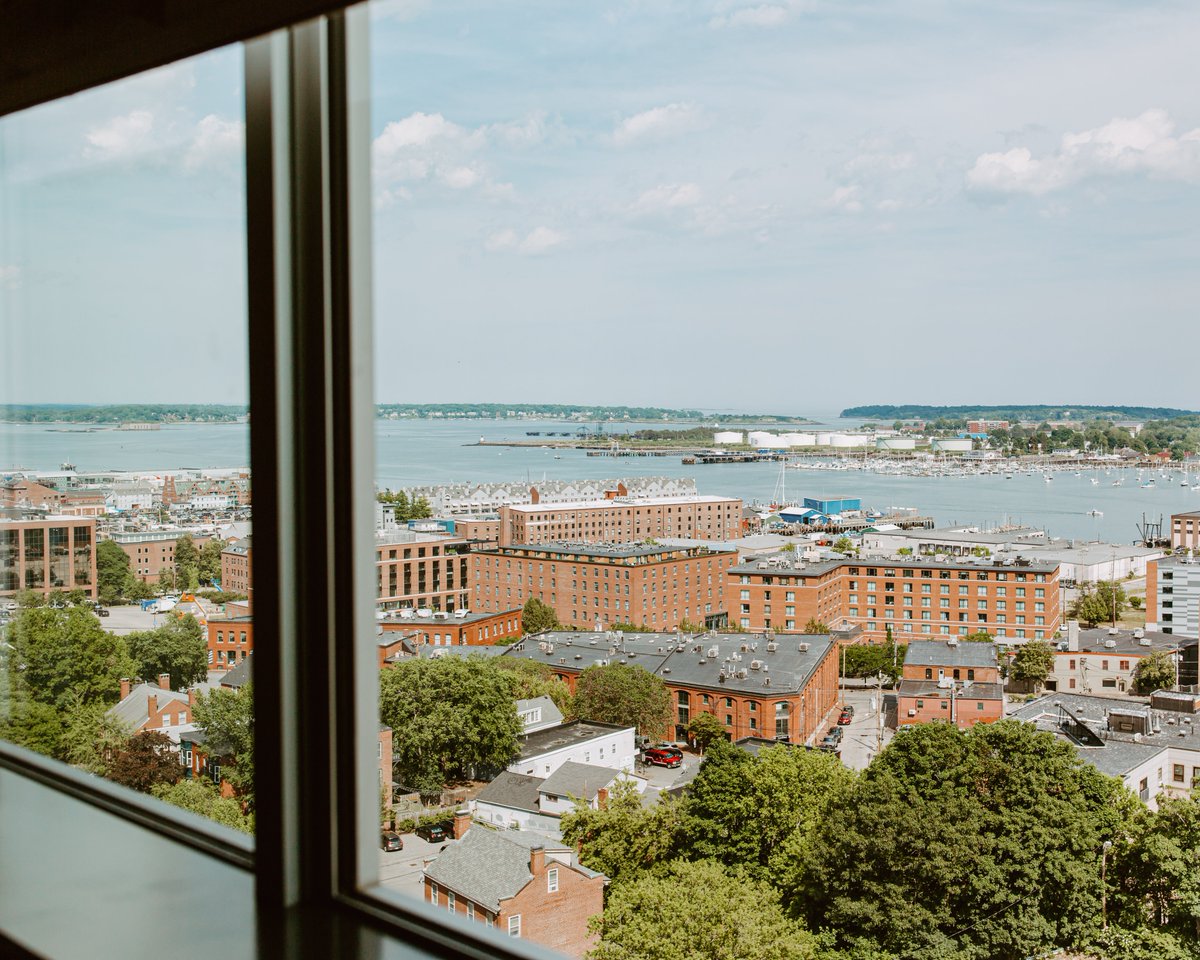 Furcationland tweet media