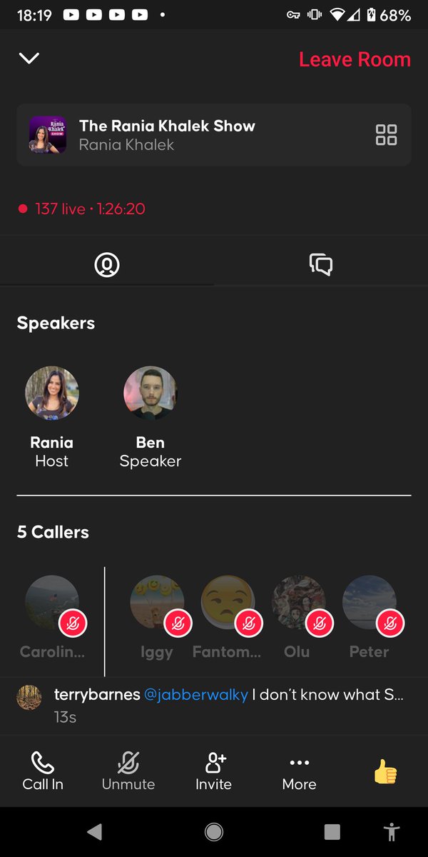 WhoisRainbow's tweet photo. The Rania Khalek Show is live on Callin, and taking your calls! Today's guest: Ben Norton https://t.co/bF1n8ou61S