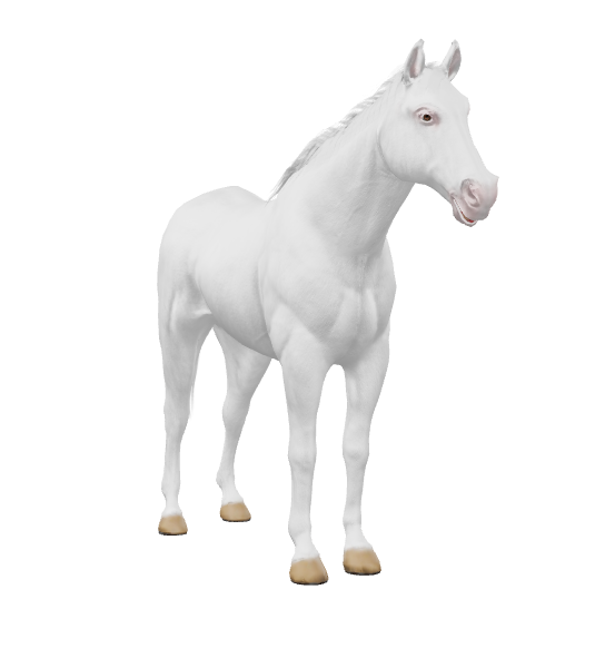 Welcome to the stable Snow White 😍