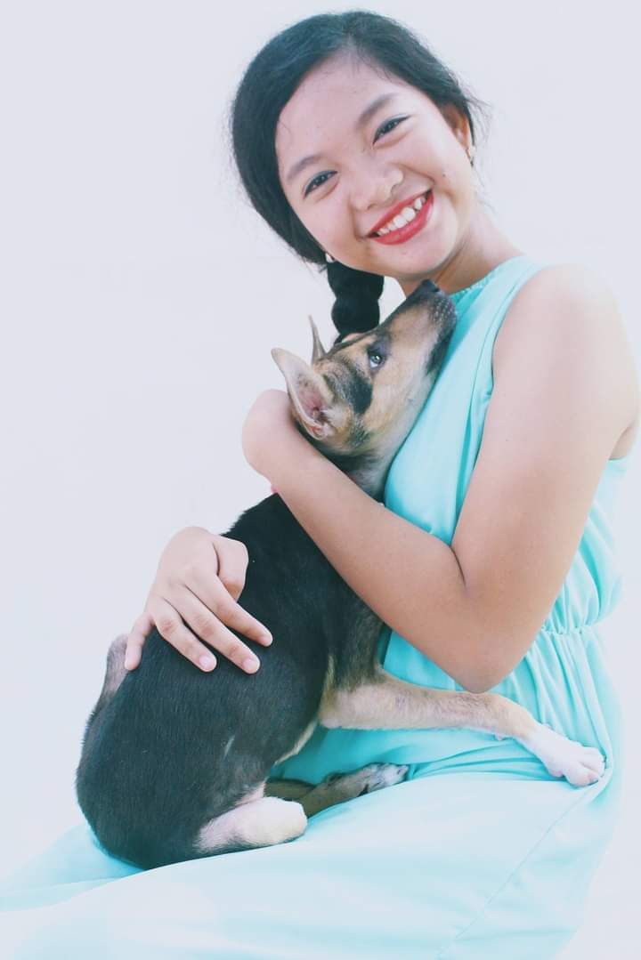 pingpiiing's tweet photo. My sweet, kind, lovely dog. I love you to the moon and back 💜
my baby Rainbow 🌈 🐶
I will miss you
You're my rainbow, you gives color in my dull life 💜🌈
02.24.16 - 10.16.22
#Rainbowthedog #youareforeverinmyheart #myfirstbaby https://t.co/aal56MVg0Z