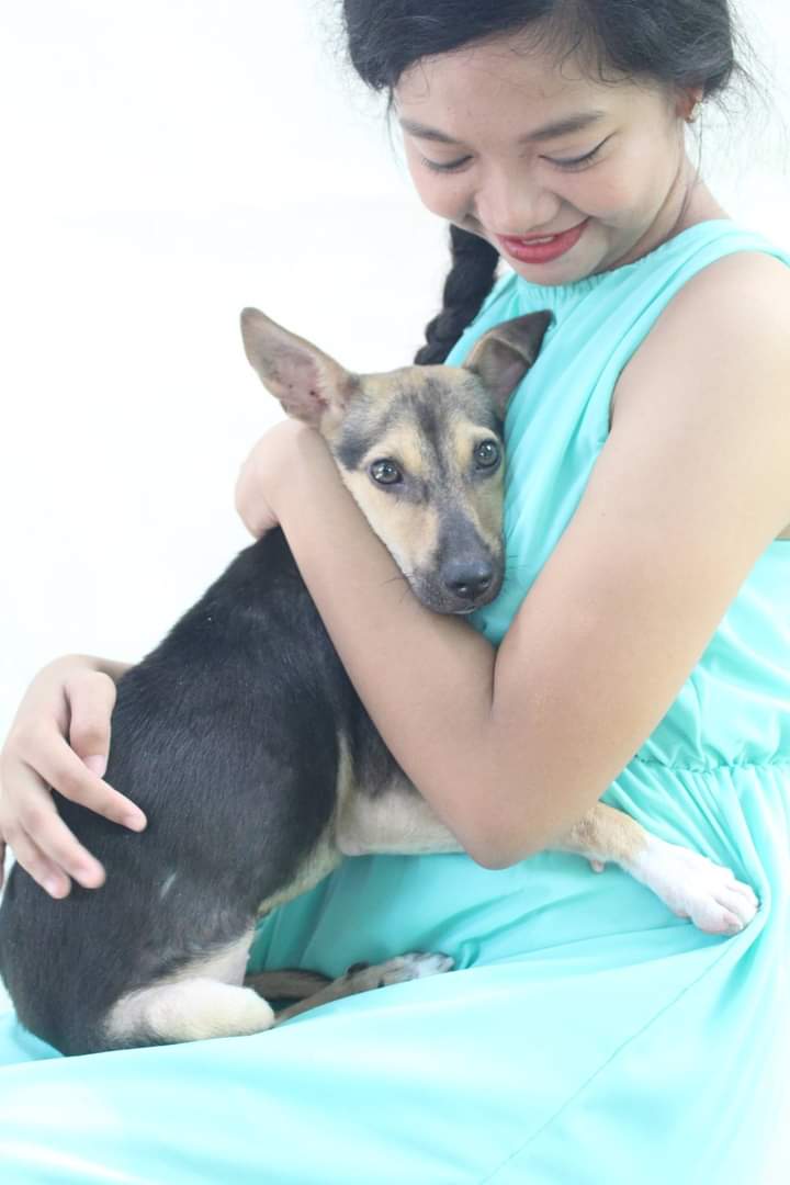 pingpiiing's tweet photo. My sweet, kind, lovely dog. I love you to the moon and back 💜
my baby Rainbow 🌈 🐶
I will miss you
You're my rainbow, you gives color in my dull life 💜🌈
02.24.16 - 10.16.22
#Rainbowthedog #youareforeverinmyheart #myfirstbaby https://t.co/aal56MVg0Z
