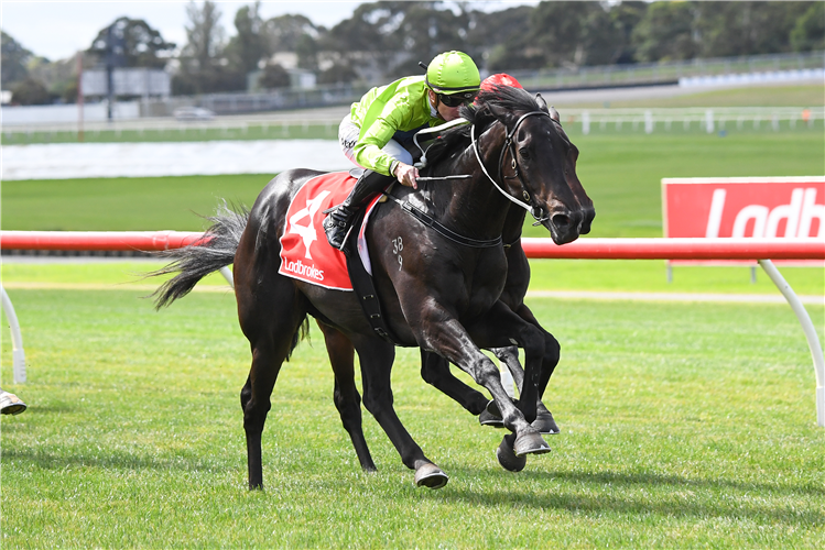 rs_bloodstock's tweet photo. "My notes were, 'nice shape, time, clean, correct colt. Nice'...we took that punt and the price tag of $150,000 looks very good now." Son of Lonhro on the cusp of realising Guineas dream. https://t.co/LFPfYhkQaT https://t.co/DL39LikY6u