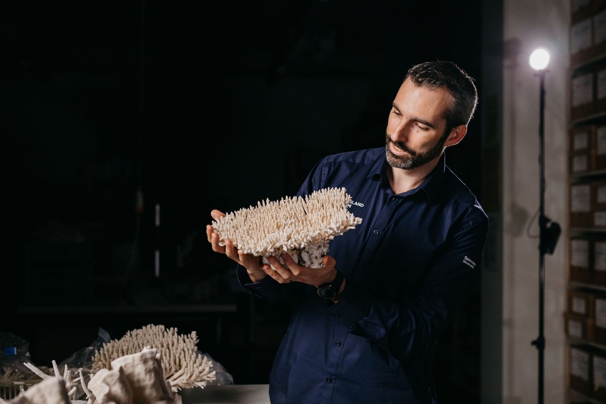QMtropics's tweet photo. What is biosystematics? How is it helping to expand our understanding of the reef? @JNaunton chats to Snr Scientist @pete_cowman about how DNA analysis is revealing more about corals and reef life than ever before. Tune in https://t.co/sxJeTL4juZ @qldmuseum #ProjectDIG #CoralBank https://t.co/ZEyjwx7NIU