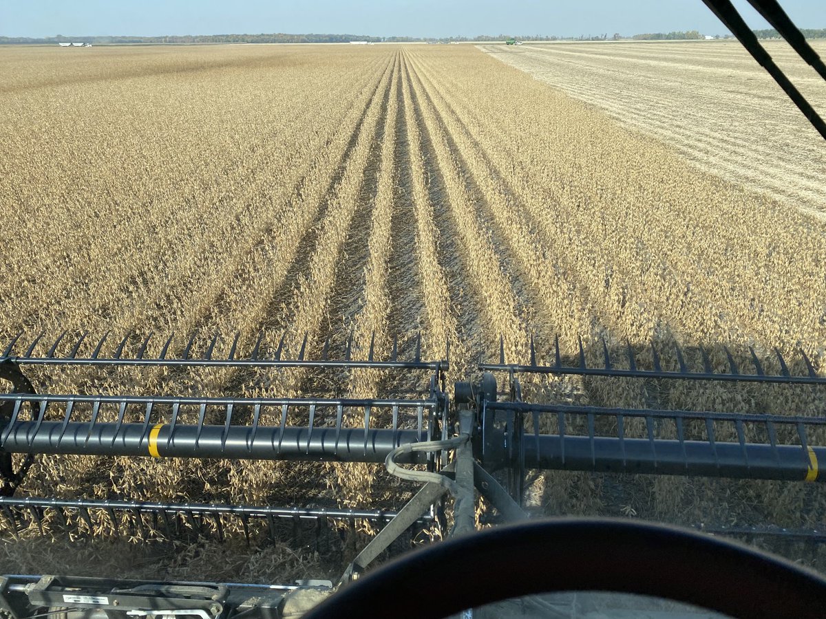 Murray Froebe tweet media