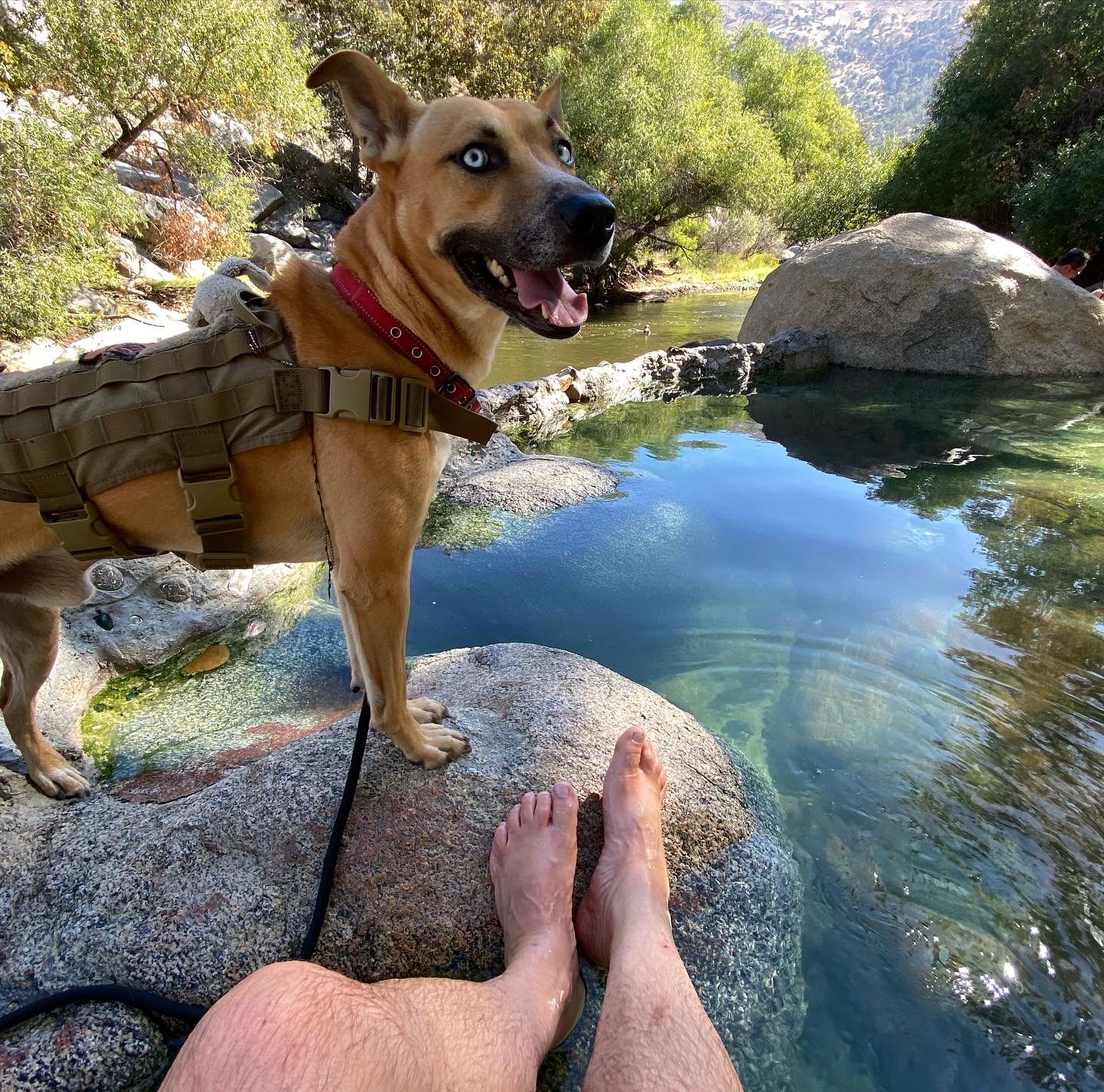 ⚡️The Only Líyoté⚡️ SAN DIEGO on Twitter "Made it to the Hotsprings