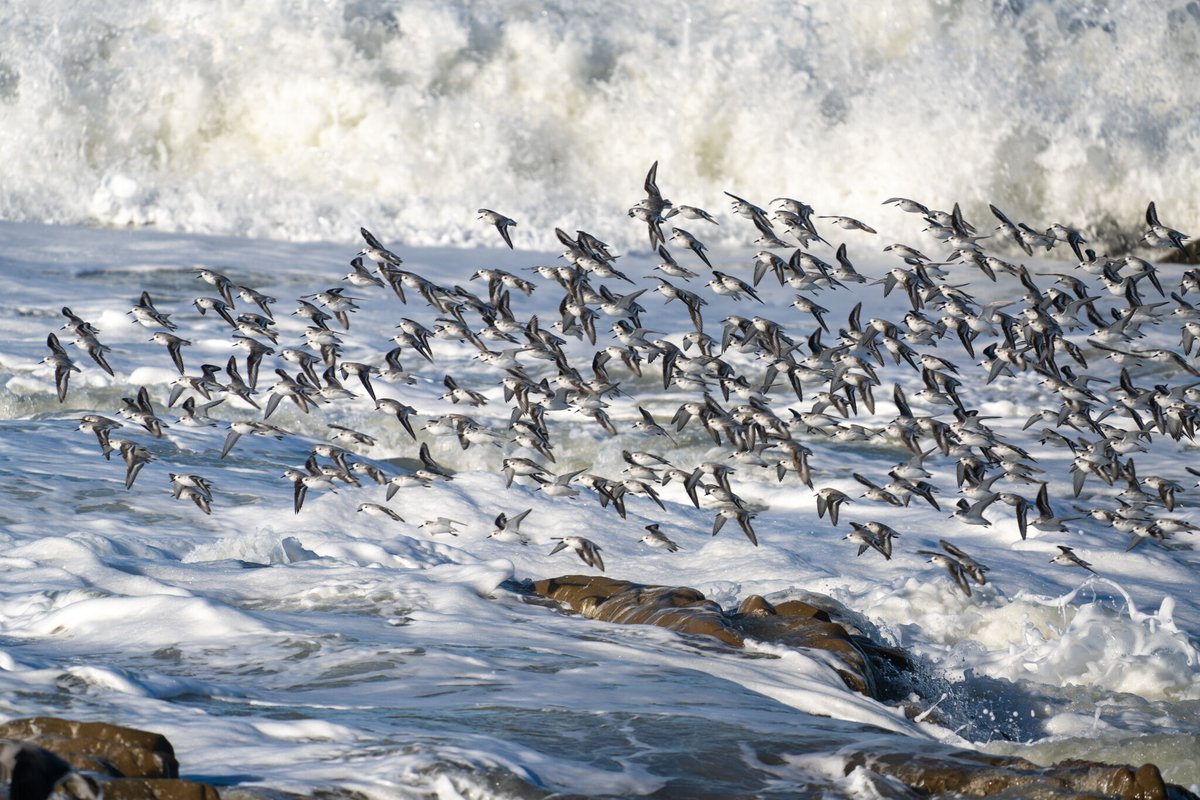 Kevin Henney tweet media