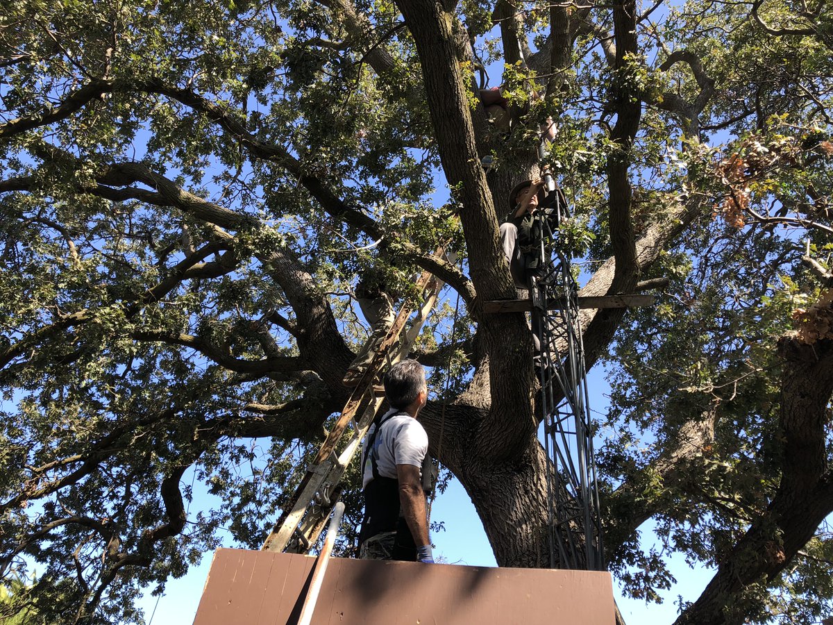 Bethlehem_AD's tweet photo. This past Saturday, the #BethlehemAD construction crew mounted a disco strobe light that will shine for miles as the "Star of Bethlehem."

#behindthescenes #christmas2022 #redwoodcity https://t.co/xcN9sfNT7P