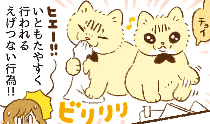 『茶トラのやっちゃん』
本日19時頃に更新予定です🐱 https://t.co/61qRdWWX3q 