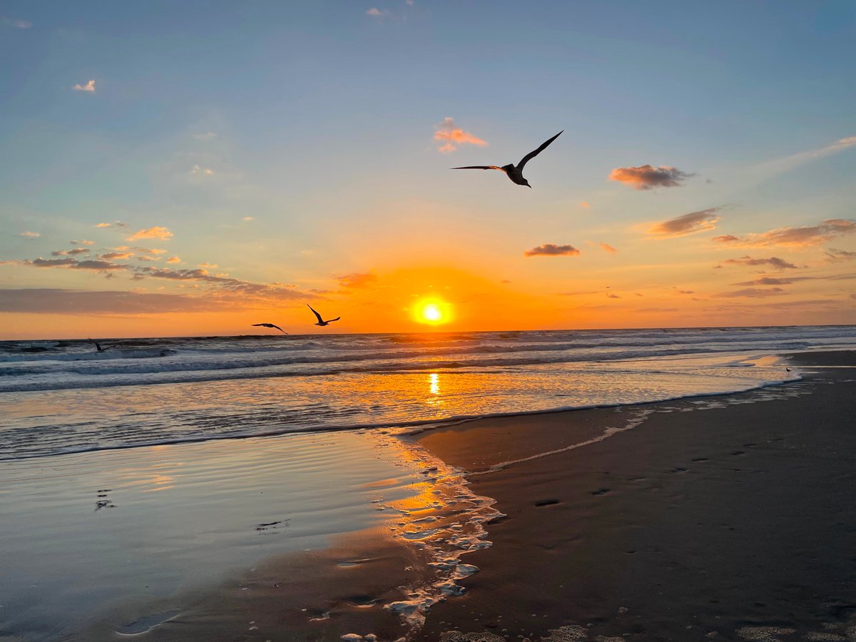 BeachLife22NFT's tweet photo. @SimonVa60664115 https://t.co/QszlK7372K https://t.co/RLm5R1szk3