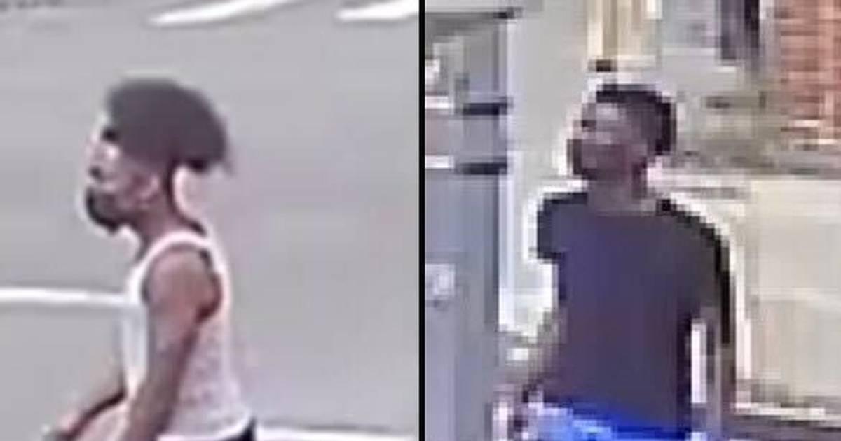 Robbers snatch electric scooters from Brooklyn riders dlvr.it/SZZwdy