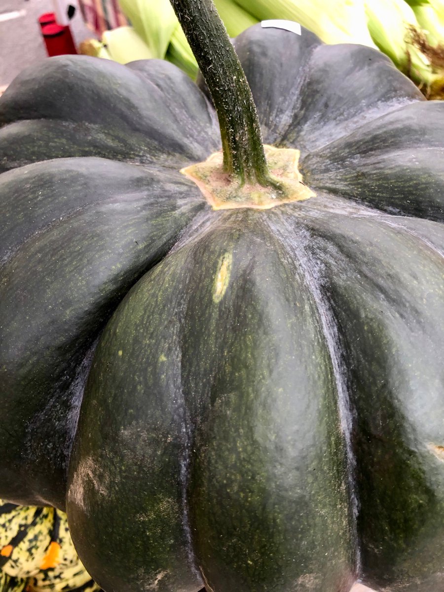Belmont Farmers Mkt tweet media