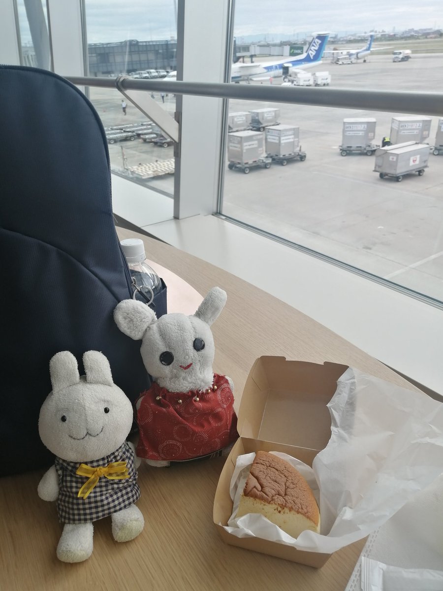 shimba_bakery's tweet photo. 先月、伊丹空港にて、りくろーおじさんのチーズケーキ1/4サイズが売られていたので買って、飛行機を見ながら食べました。#りくろーおじさんのチーズケーキ　#伊丹空港 https://t.co/TbNYWMfEXb