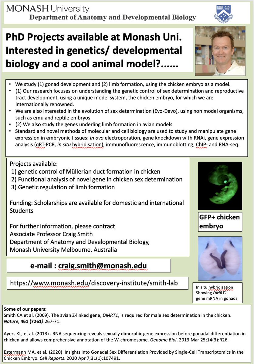 PhD projects now available in our lab at Monash University, Melbourne. Research area: Developmental Biology/ molecular genetics. Model organism: chicken (and sometimes emu, finch ,quail)....