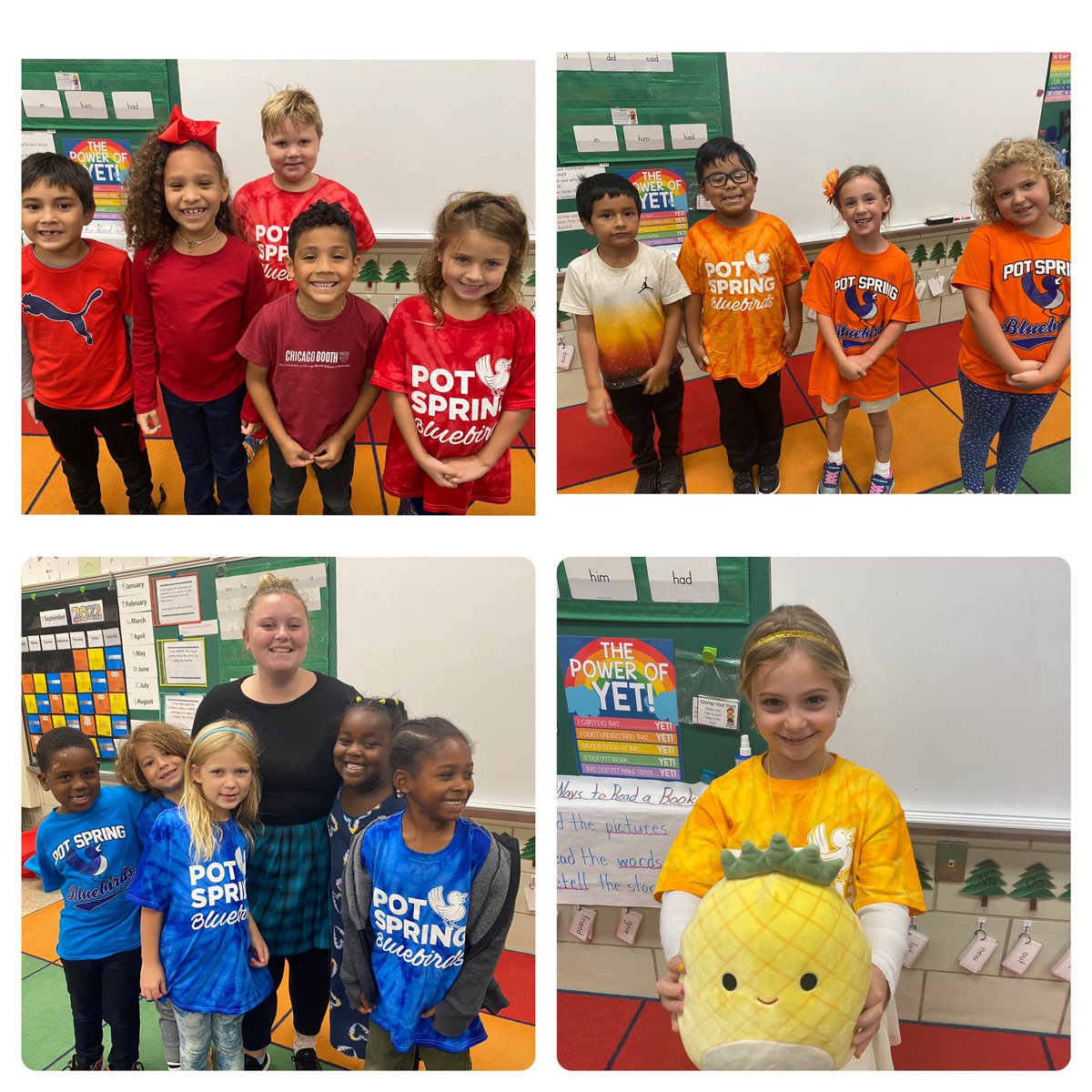 Rachel Noto tweet media