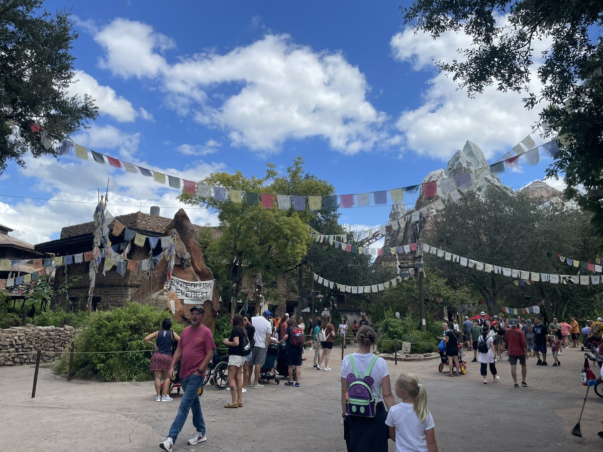 #animalkingdom #Disneyworld gives you the vibe of being back home 🇳🇵 Such a great place to be!