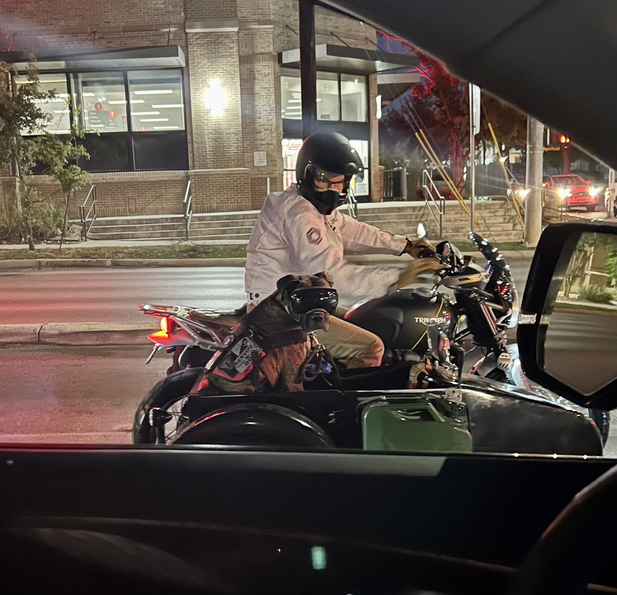 TheBloggess's tweet photo. You may be cool, but you’ll never be as cool as this dog in a sidecar I just met. https://t.co/OJWkgOSiRZ