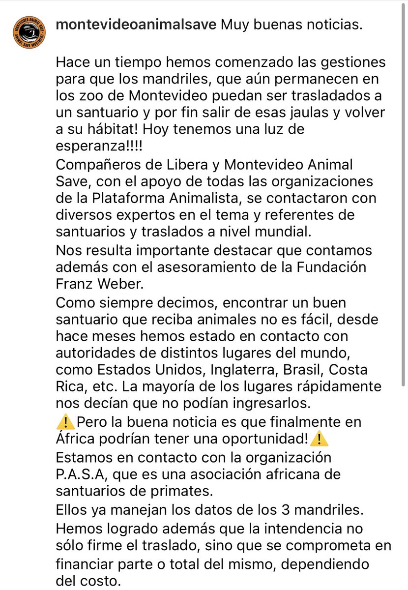 MVDAnimalSave's tweet photo. Firmá la petición que lanzamos junto a l@s compañer@s de @PA_Uruguay y @liberauy para que los mandriles del zoo de Montevideo puedan ser trasladados a un santuario en África 🙏✏️ https://t.co/Z3jwpnMmjf https://t.co/GU30RdHaUx