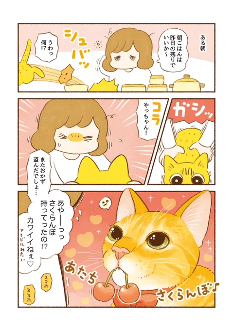 いたずらをする猫は可愛い🐱 