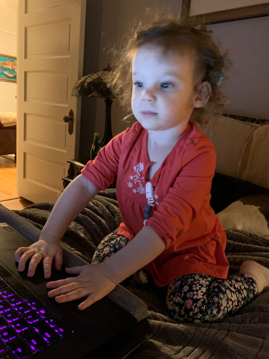 FungalDoc: moved to bluesky tweet media