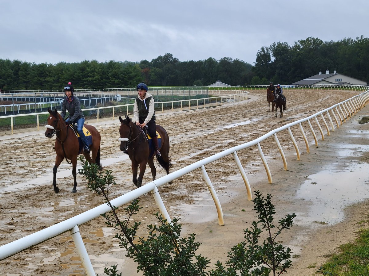 Holly_August's tweet photo. If it's going to be a wet and muddy day on a day off from work, I might as well have a wet & muddy day that includes horses. #FairHill @FairHillFdn @Keri145 @USASteeplechase #KittenAround #GoingCountry #TheInternationalVenture https://t.co/3PYittWk6z