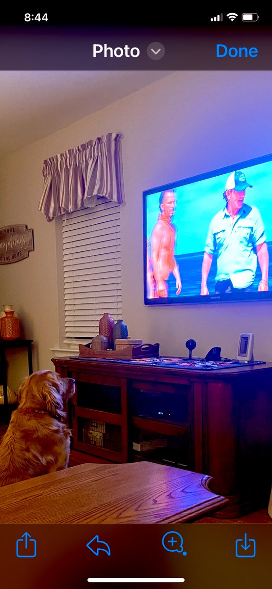 B ONeill tweet media