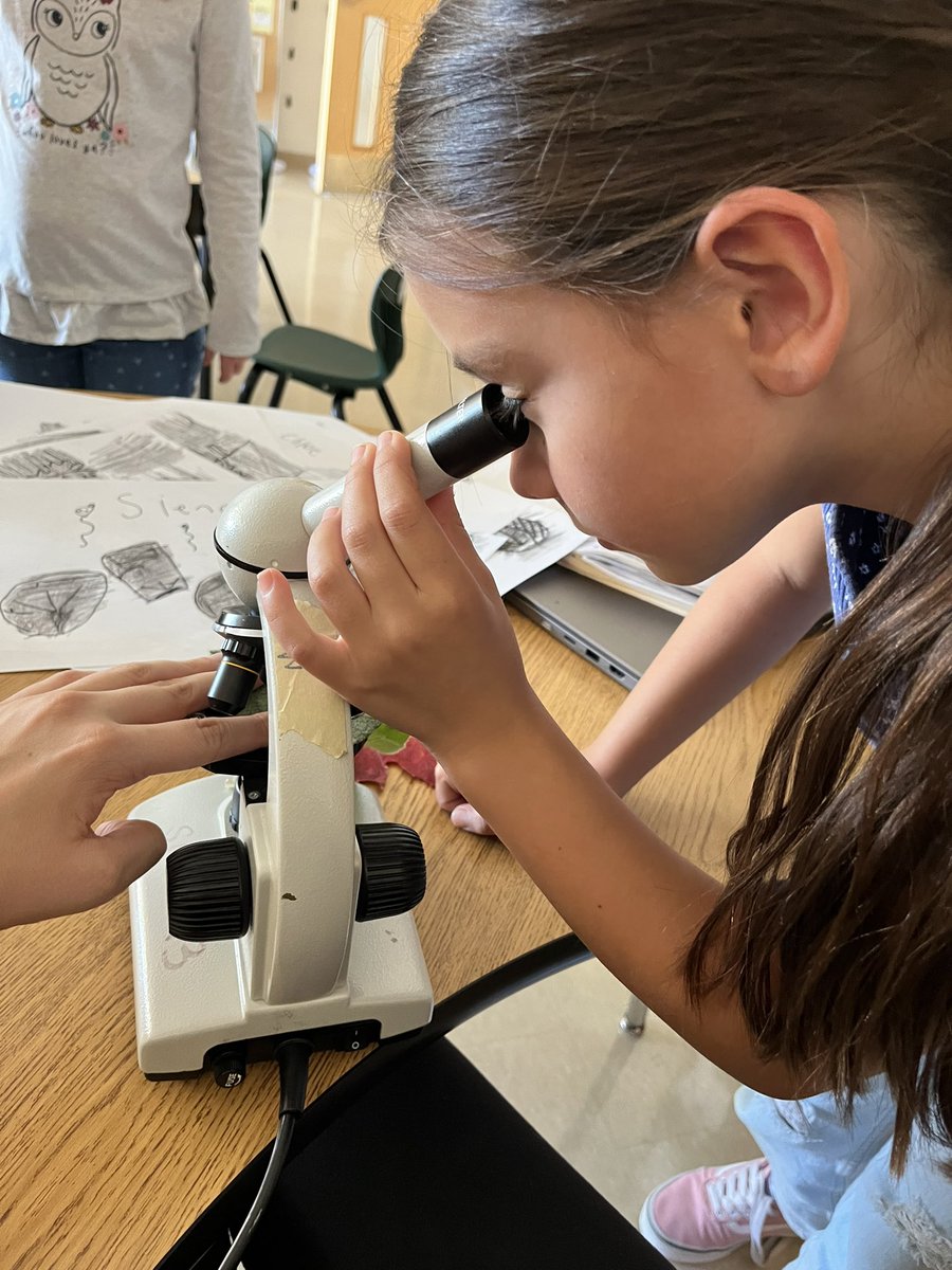 MsEllisM's tweet photo. We went for a nature walk to collect fall leaves for our texture rubbing, then we took a closer look at them under a microscope🔬🍂@SMCDSB_SGA https://t.co/k2t4oCh10U