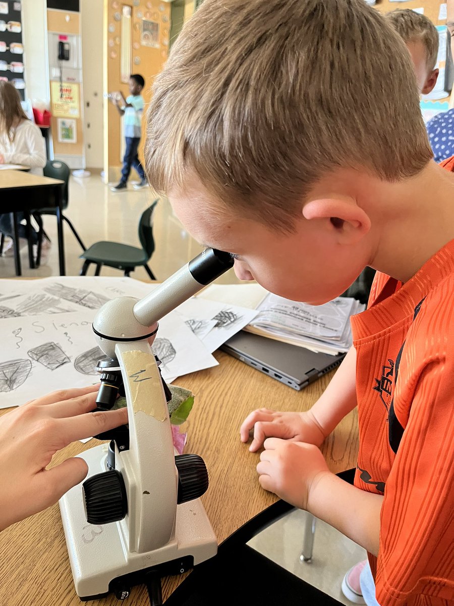 MsEllisM's tweet photo. We went for a nature walk to collect fall leaves for our texture rubbing, then we took a closer look at them under a microscope🔬🍂@SMCDSB_SGA https://t.co/k2t4oCh10U