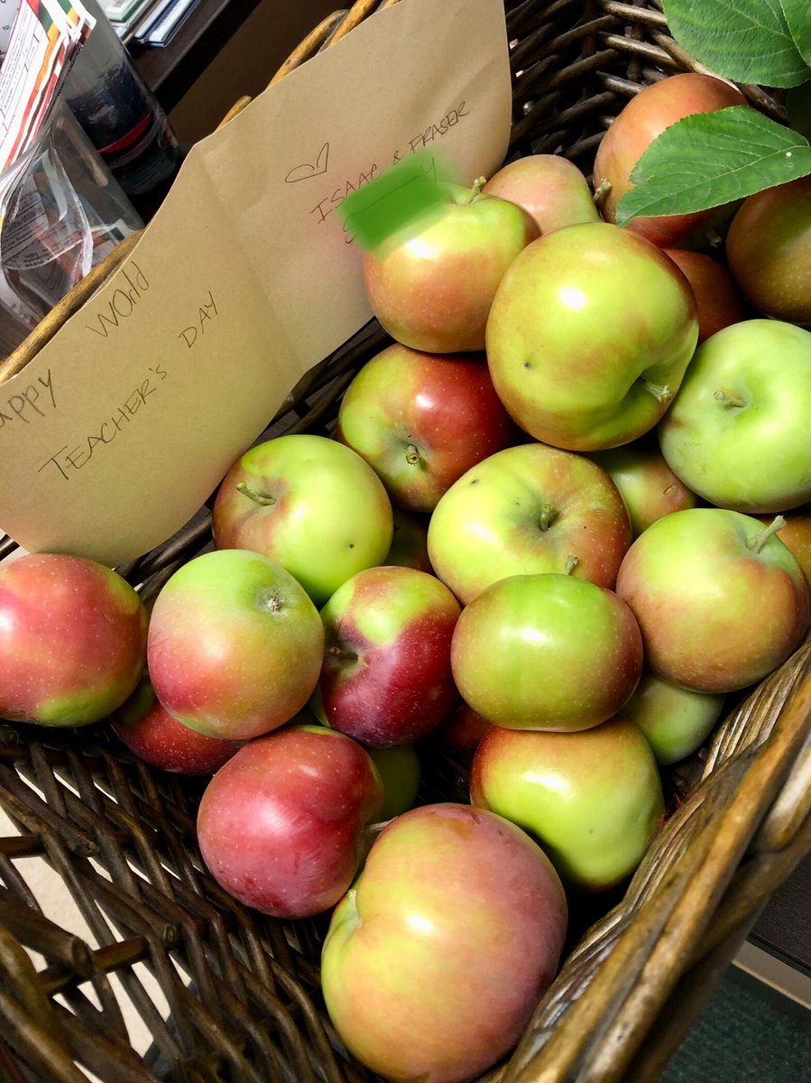 A special delivery from one of our families today in honour of World Teacher’s Day! #inglewood #growingandlearningtogether #celebrateteachers @APPLESchools #publiceducation #yeg #fallharvest #appleofmyeye