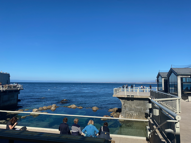 Steven Lipton tweet media