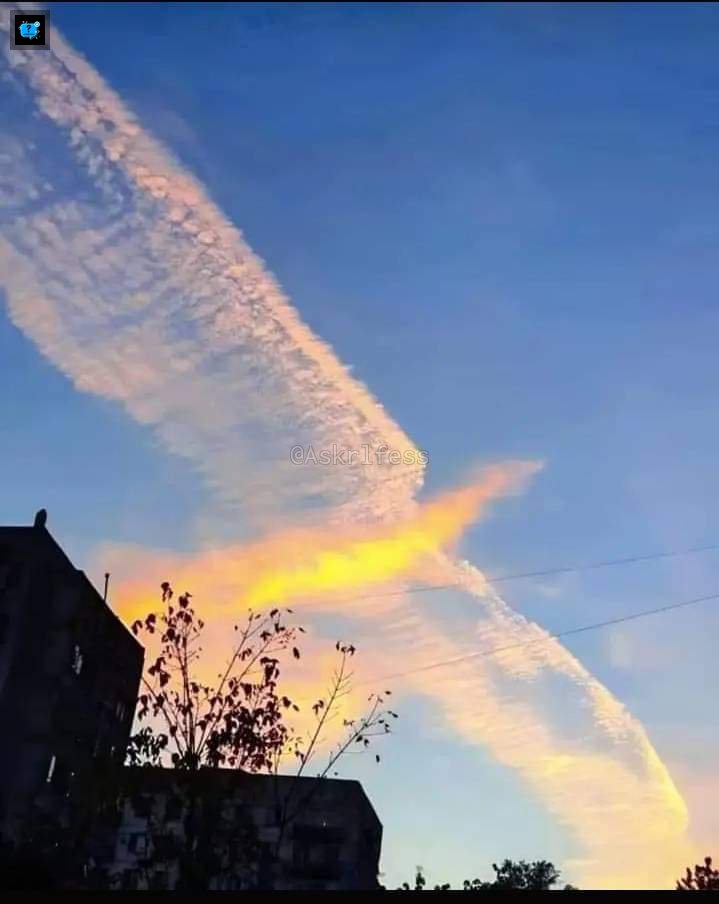 Askrlfess tweet media