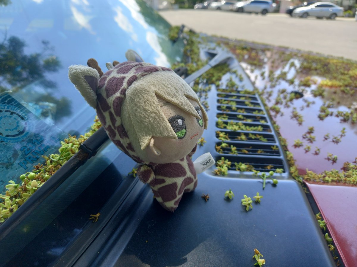 🚗🍃