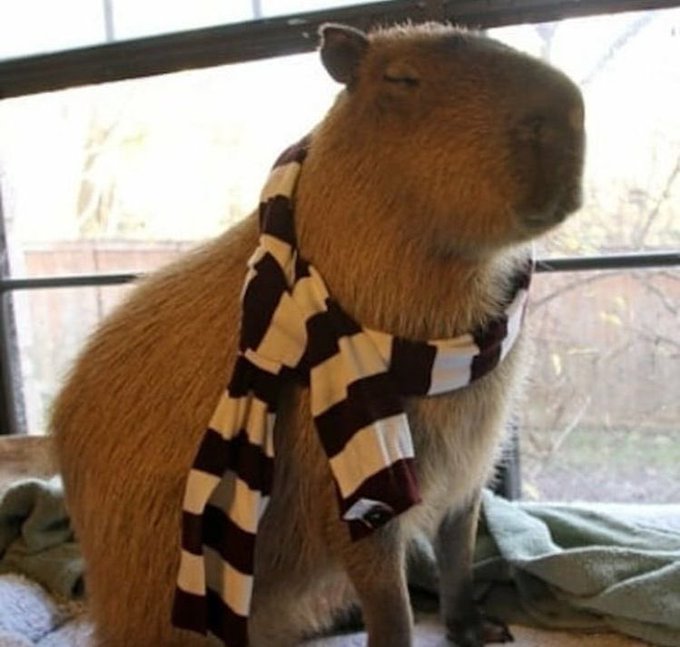 im ready for scarf and sweater season babyyy https://t.co/ZCpeSoOEij<a href="/tag/newprofilepic"class="tags"><span>#newprofilepic</span></a>