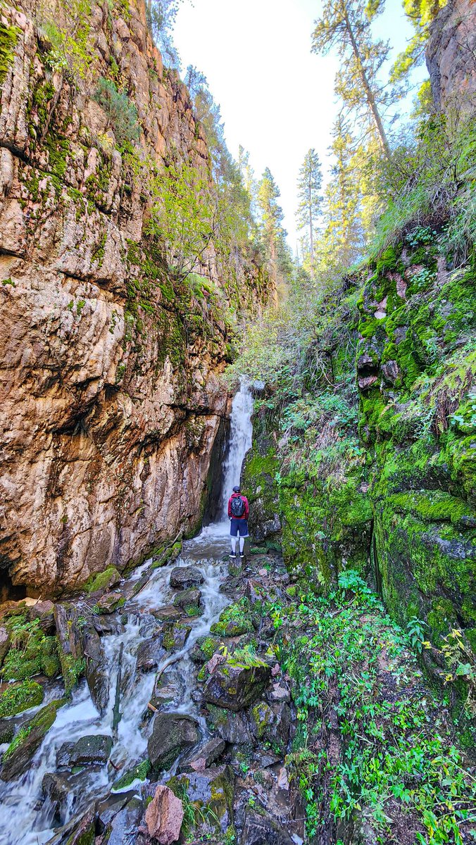 gilarddd's tweet photo. Searching for waterfalls in NM takes work, but the payoff is worth it. https://t.co/vgpzdI6jmo
