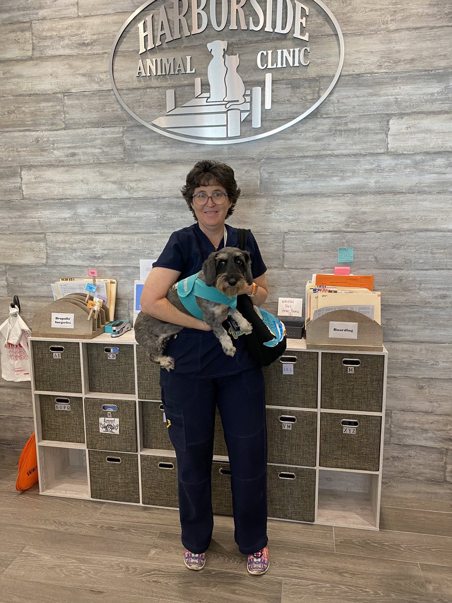 dolphreaky's tweet photo. Harborside Animal Clinic here in Naples is collecting pet food for families affected by Hurricane Ian. Local rescue groups will make sure the donations get to those in need. You can ship donations via Chewy or Amazon to 2662 Davis Blvd. Naples, FL 34104! Contact: @wiredoxie https://t.co/BRUh8pmaD6