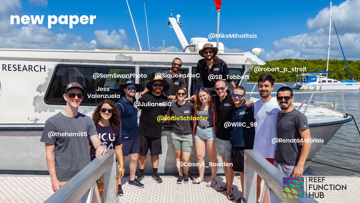 Reef Function Hub (@reeffunctionhub) on Twitter photo Involved are all these stars 📸👇
<a href="/thehemi65/">Dr. Christopher Hemingson</a> <a href="/SamSwanPhoto/">Sam Swan</a> <a href="/JulianoBi0/">Juliano Morais</a> <a href="/SiqueiraAleC/">Alexandre C Siqueira</a> <a href="/JodieSchlaefer/">Jodie Schlaefer</a> <a href="/CaseyL_Bowden/">Casey Bowden</a> <a href="/MikeMihalitsis/">Mike Mihalitsis</a> <a href="/SB_Tebbett/">Sterling Tebbett</a> <a href="/WillC_98/">William Collins</a> <a href="/robert_p_streit/">Robert Streit</a> <a href="/RenatoAMorais/">Renato Morais</a> & Jess V!
& who didn't make it on the 📸:
<a href="/DrVictorHuertas/">Víctor Huertas</a> <a href="/StephanieDuce/">Stephanie Duce</a> <a href="/bellwoodlab/">The Bellwood Lab</a>
(2/7) Involved are all these stars 📸👇
<a href="/thehemi65/">Dr. Christopher Hemingson</a> <a href="/SamSwanPhoto/">Sam Swan</a> <a href="/JulianoBi0/">Juliano Morais</a> <a href="/SiqueiraAleC/">Alexandre C Siqueira</a> <a href="/JodieSchlaefer/">Jodie Schlaefer</a> <a href="/CaseyL_Bowden/">Casey Bowden</a> <a href="/MikeMihalitsis/">Mike Mihalitsis</a> <a href="/SB_Tebbett/">Sterling Tebbett</a> <a href="/WillC_98/">William Collins</a> <a href="/robert_p_streit/">Robert Streit</a> <a href="/RenatoAMorais/">Renato Morais</a> & Jess V!
& who didn't make it on the 📸:
<a href="/DrVictorHuertas/">Víctor Huertas</a> <a href="/StephanieDuce/">Stephanie Duce</a> <a href="/bellwoodlab/">The Bellwood Lab</a>
(2/7)