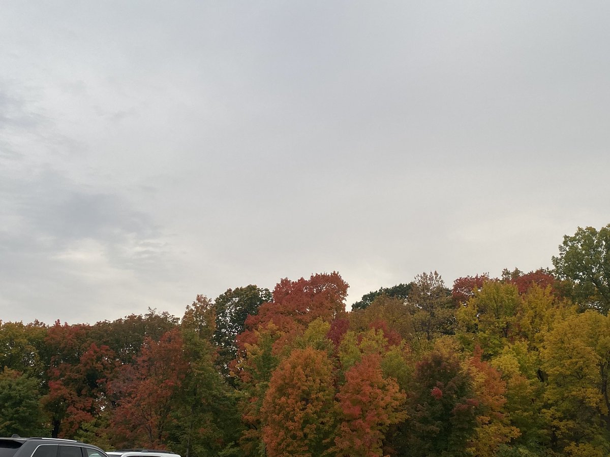 MelissaMoser's tweet photo. #mnfall #mtka #mnweather @mndnr #fallcolors https://t.co/xe3mDztJJE