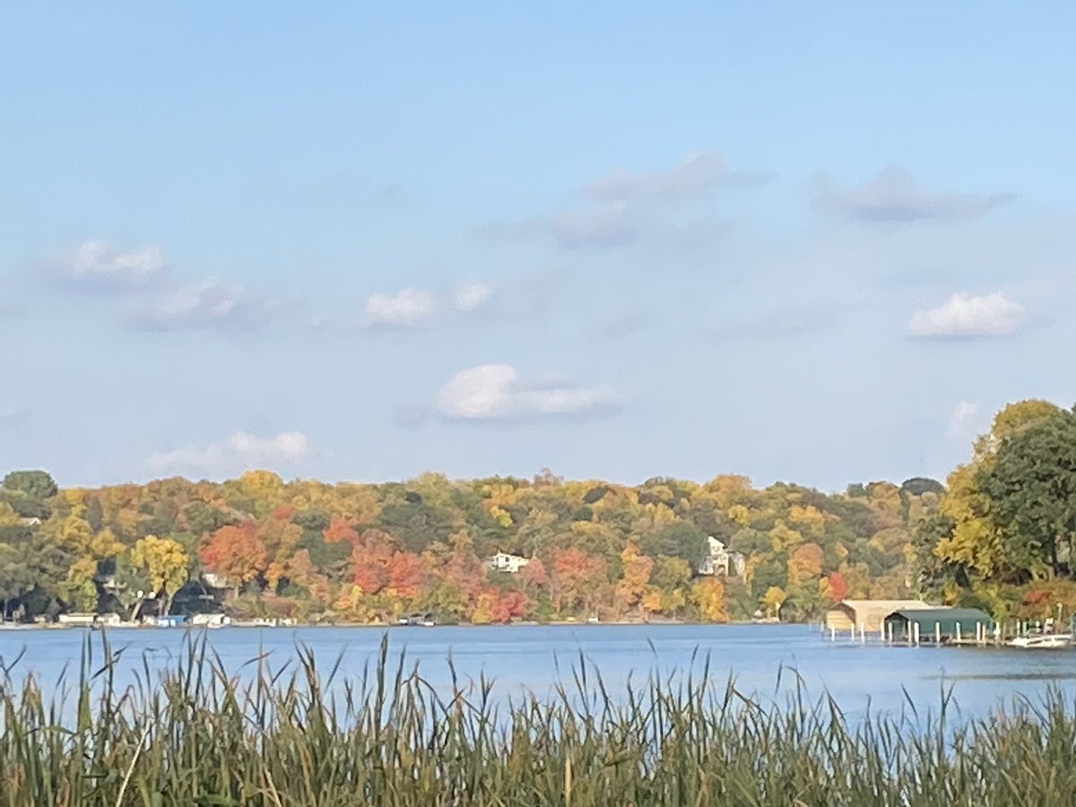 MelissaMoser's tweet photo. #mnfall #mtka #mnweather @mndnr #fallcolors https://t.co/xe3mDztJJE