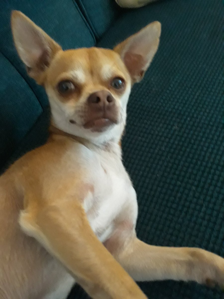 Dejase's tweet photo. @DannyDeraney @Crosbydoggy https://t.co/OmYjWyC7dr