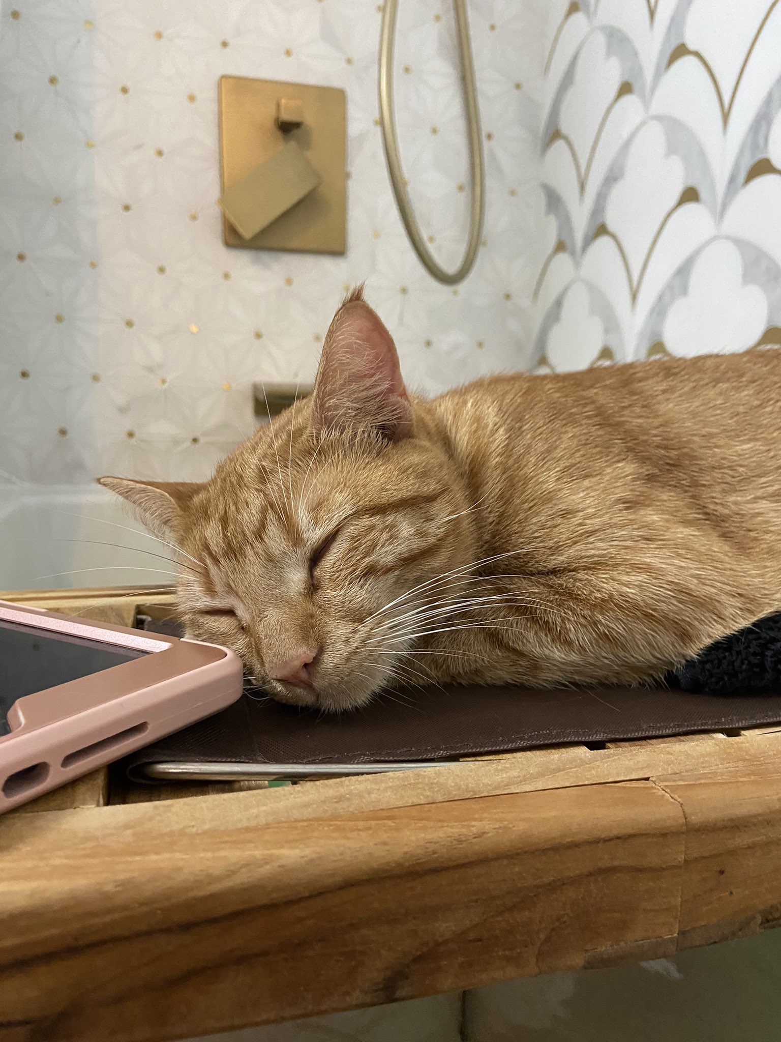 Zoe Volf on Twitter: "Ok he sleeps now I’m officially out of irony and just 🥺🥹🥹🥹🥹🥹 https://t.co