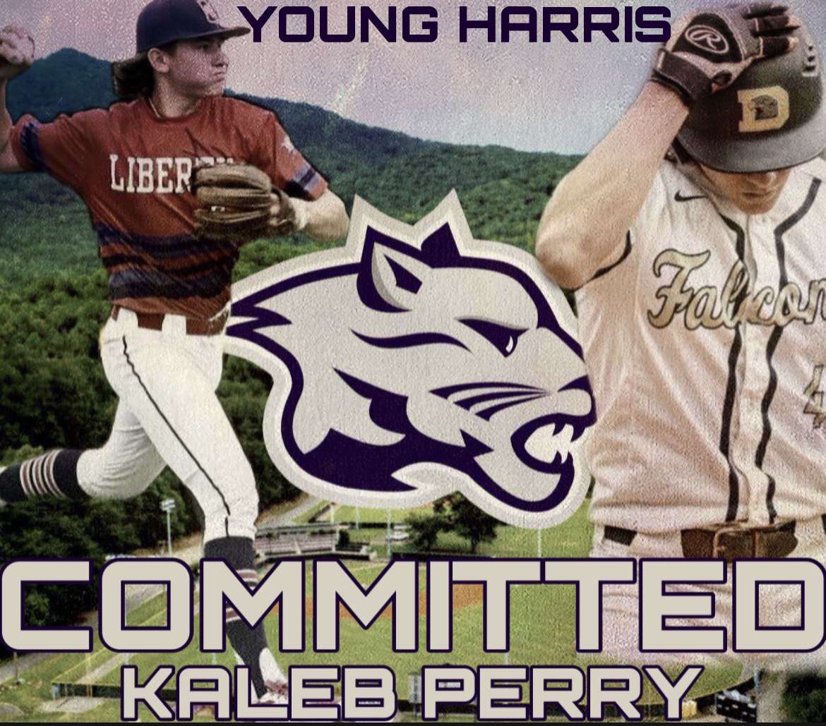 Kaleb Perry tweet media