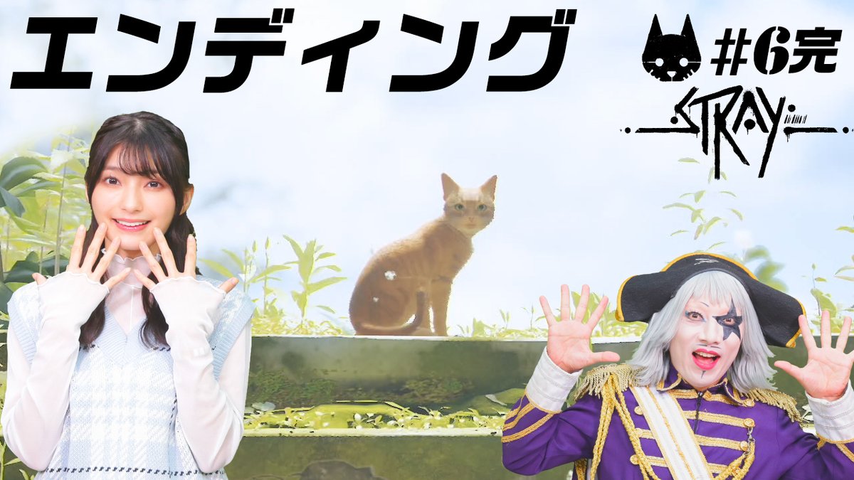 _GameMarket_'s tweet photo. 【Stray】ついにエンディング!ネコの運命は……??【#6END】
動画はそーれー!ここ!↓
🌏https://t.co/0qee70vJ2k🌏
#ゴージャス動画
#高野麻里佳
#Stray
#猫 https://t.co/Fhe2wA62Jz