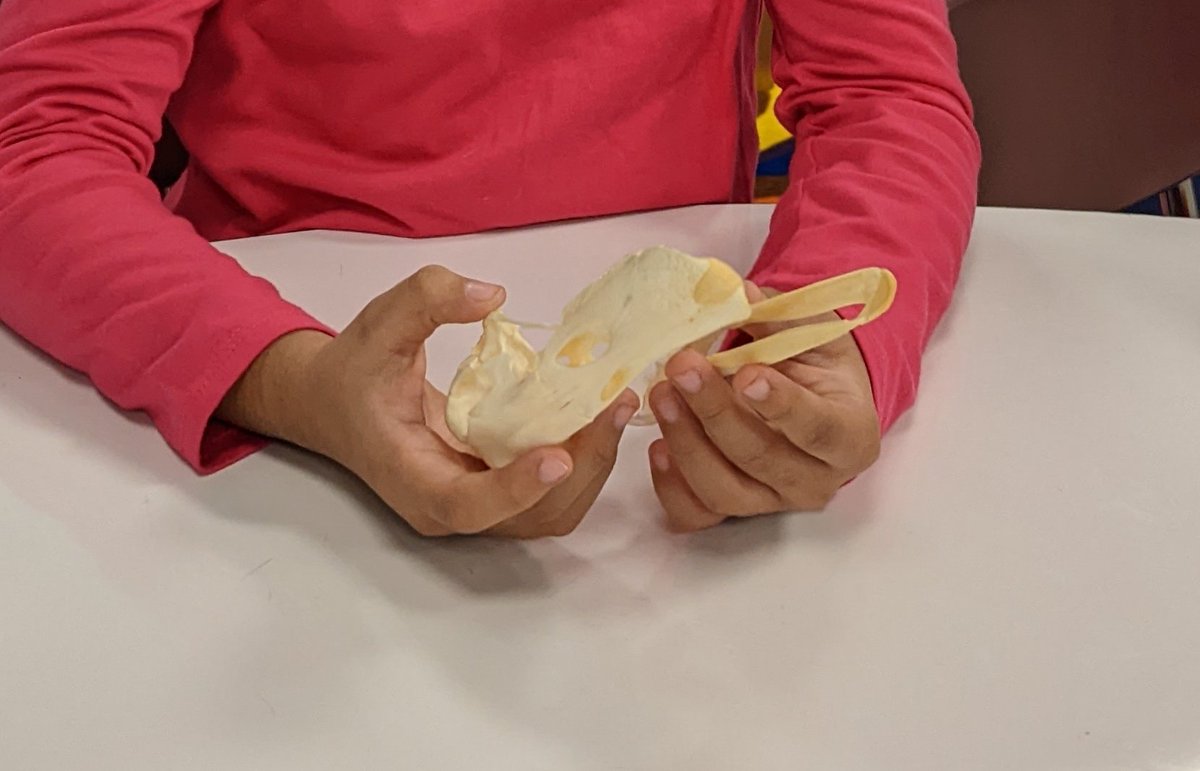 Birding With Barba tweet media