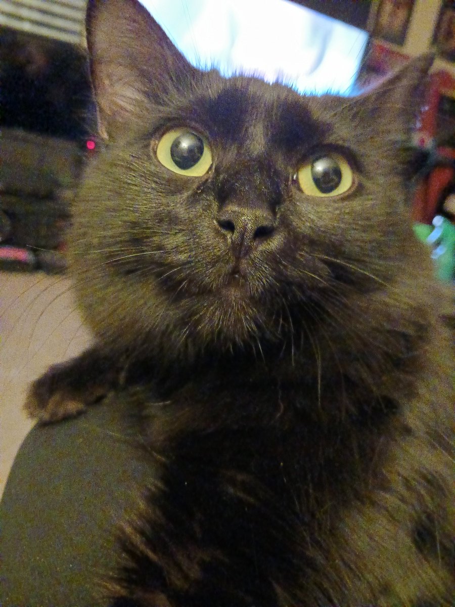 NobodyPutsVisualsInACorner tweet media