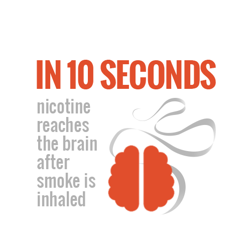 for_planetary's tweet photo. Smokers typically inhale about 1 milligram (mg) of nicotine in a single cigarette.4 For some, that’s all it takes to become addicted https://t.co/pe0VNj4KB4